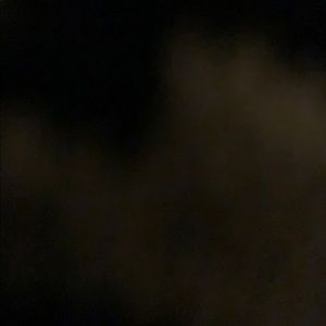 Meet your Posher, Chloe